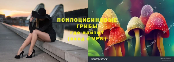 дживик Зеленодольск