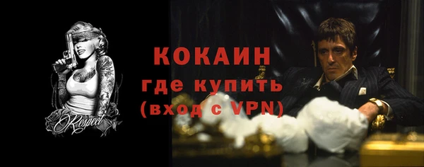гидра Аркадак