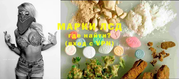 гидра Аркадак