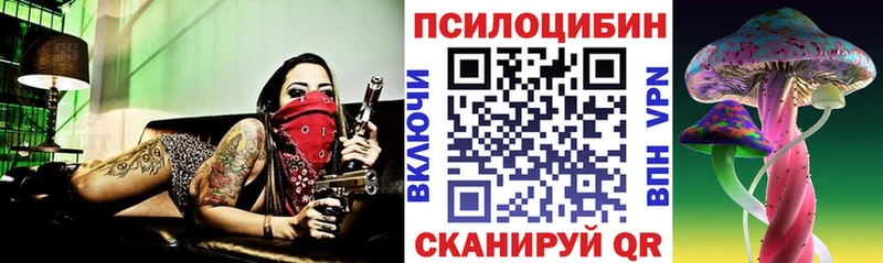 Галлюциногенные грибы Psilocybe  Бавлы 