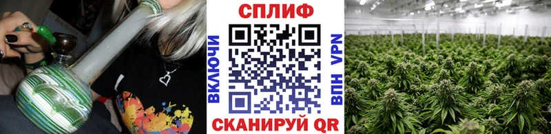 Бошки марихуана SATIVA & INDICA  закладка  Бавлы 